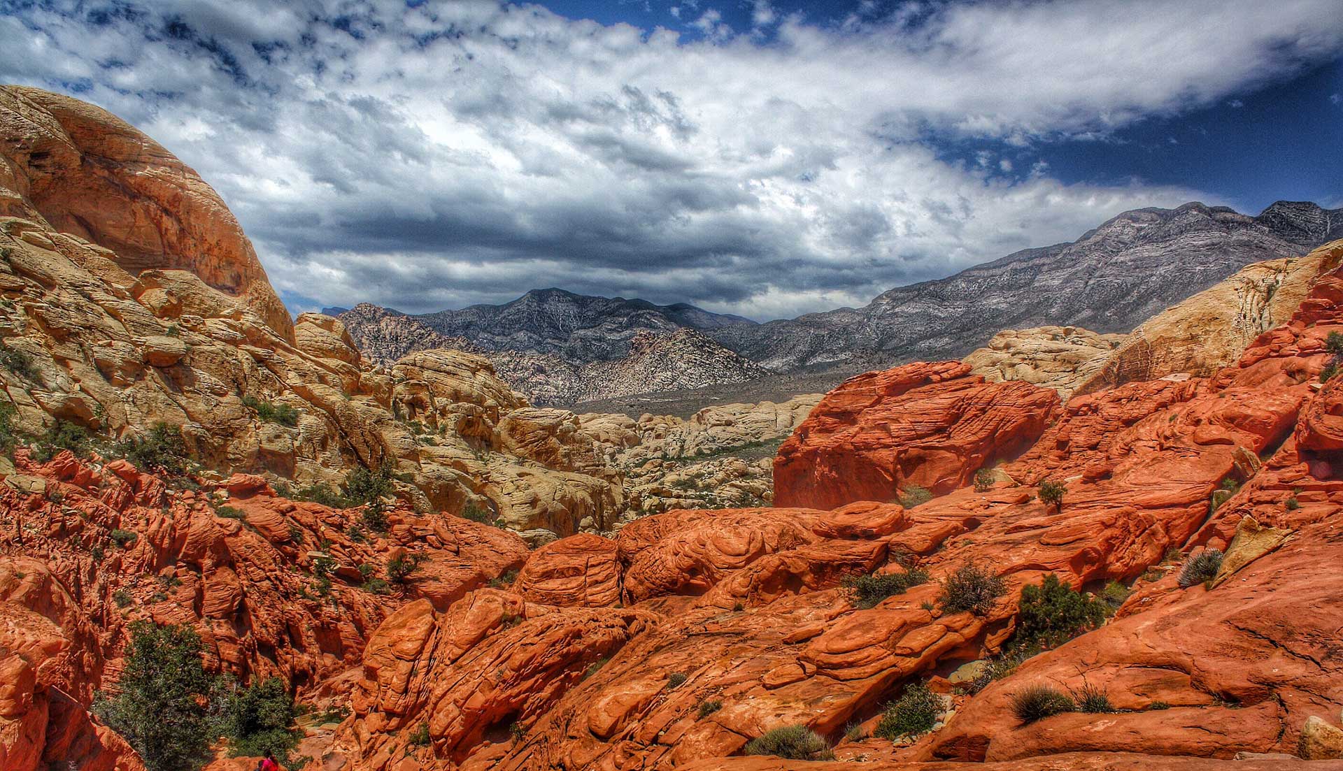 red rock canyon in las vegas