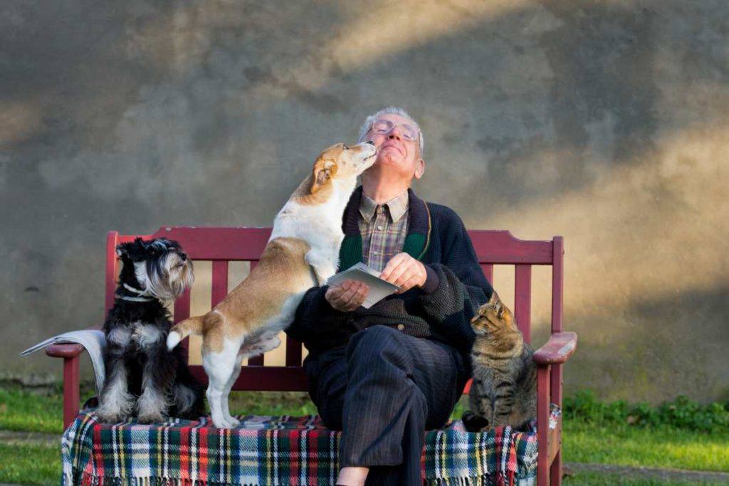 Old Wone with Pets